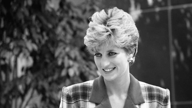 Putri Diana (wikimedia commons)