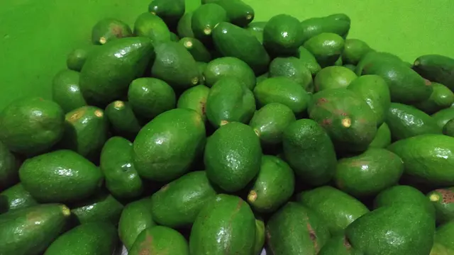 Ratusan alpuket hasil pertanian warga di Garut, siap dijual untuk memenuhi kebutuhan masyarakat.