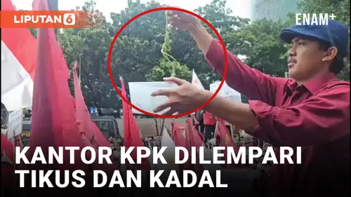VIDEO: Mahasiswa Lempar Tikus dan Kadal ke Kantor KPK
