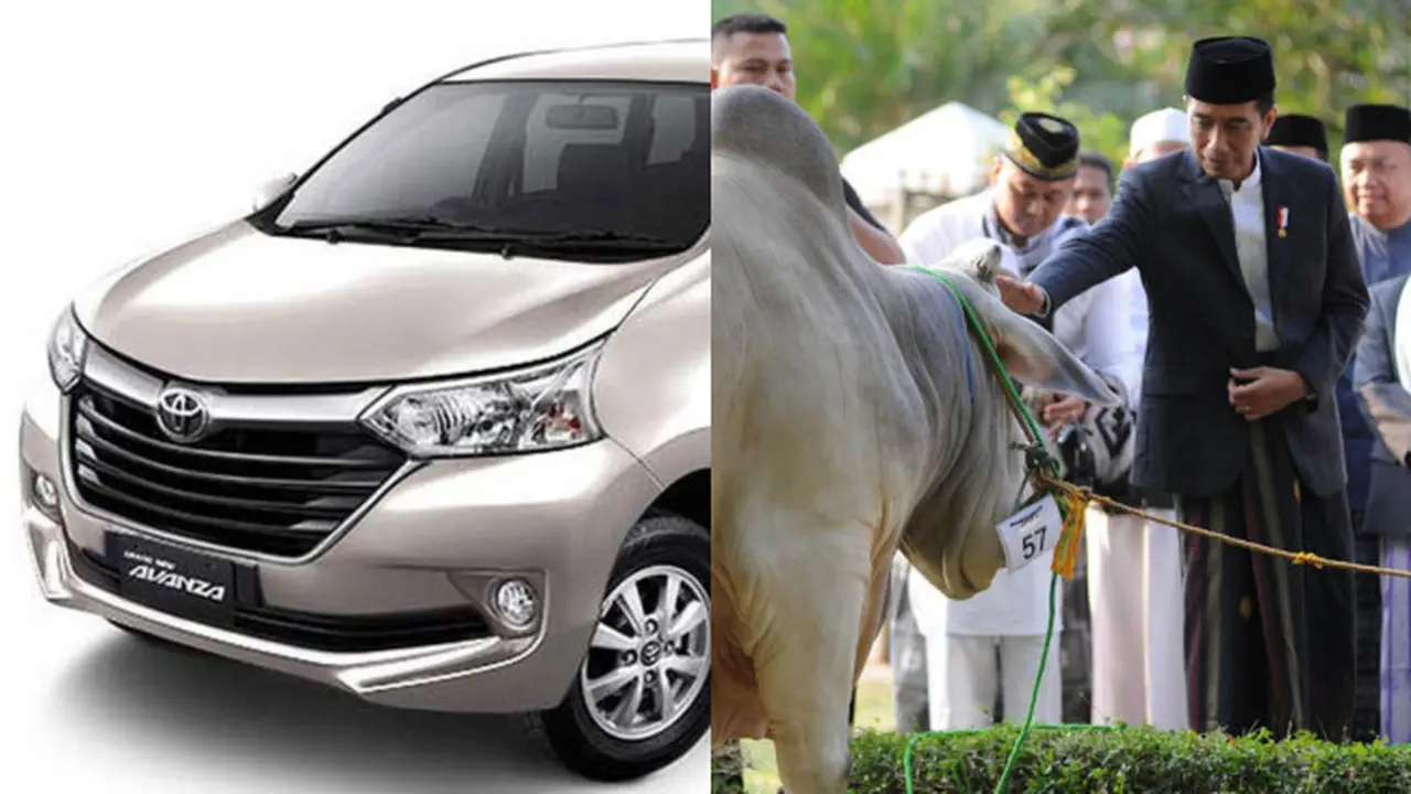 Jokowi Beli Sapi Kurban Seharga Avanza Bekas