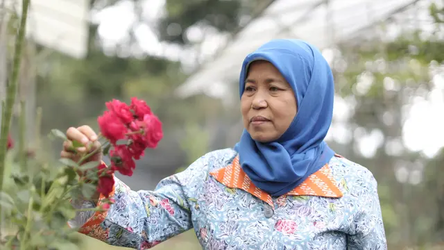 tri mumpuni