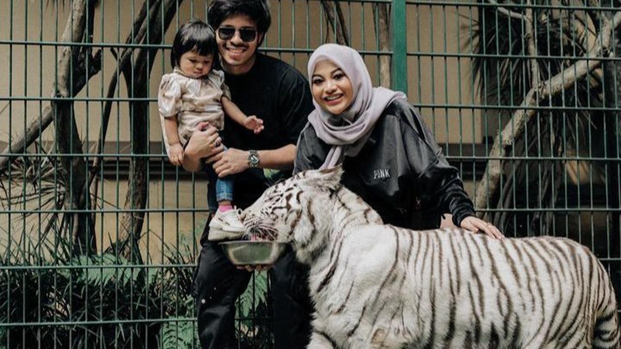 Potret kebersamaan Atta Halilintar bersama kedua orang tercinta, Atta Halilintar dan Aurel. Tampak Ameena berfoto dengan harimau. Ameea tampak digendong oleh sang papa, Atta Halilintar.