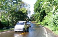 BPBK Aceh Jaya Imbau Warga Waspada Tumpahan CPO Gunung Geurutee