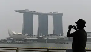 Asap Karhutla Sampai Negara Tetangga, Ini Respons Istana