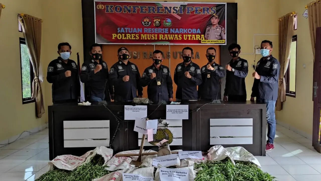 Ladang Ganja Terekam Kamera Drone Polisi di Sumsel