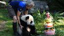 Petugas membawa panda Yuan Meng menuju kue ulang tahunnya Kebun Binatang Beauval di Saint-Aignan-sur-Cher, Prancis (4/8). Panda yang lahir di Prancis tersebut diberi nama 'Yuan Meng' oleh ibu negara Prancis, Brigitte Macron. (AFP Photo/Guillaume Souvant)
