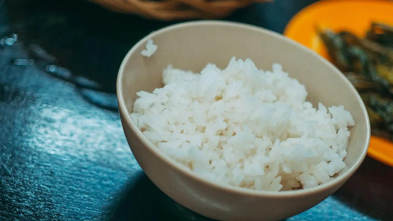 Nasi Putih dan Roti Putih