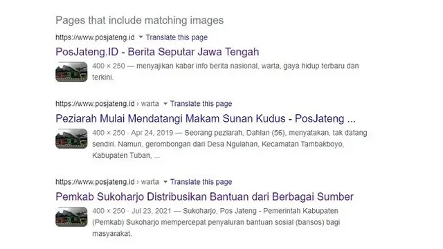 Gambar Tangkapan Layar Penelusuran Foto Menggunakan Google Images.