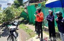 Insiden Pohon Tumbang Palembang Tewaskan Pengemudi Ojol, Pemkot Perintahkan Evaluasi Menyeluruh