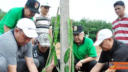 Citizen6, Pulung Kencana: Kebun Agrowisata merupakan salah satu ikon yang sedang dibangun oleh Pemerintah Kabupaten Tulang Bawang Barat, yang akan menjadi tempat rekreasi sekaligus praktik budidaya pertanian. (Pengirim: Humas TBB)