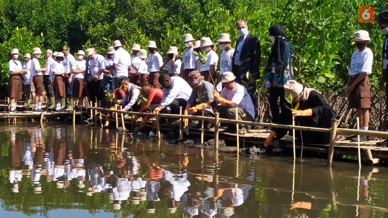 Penanaman Mangrove di Bali
