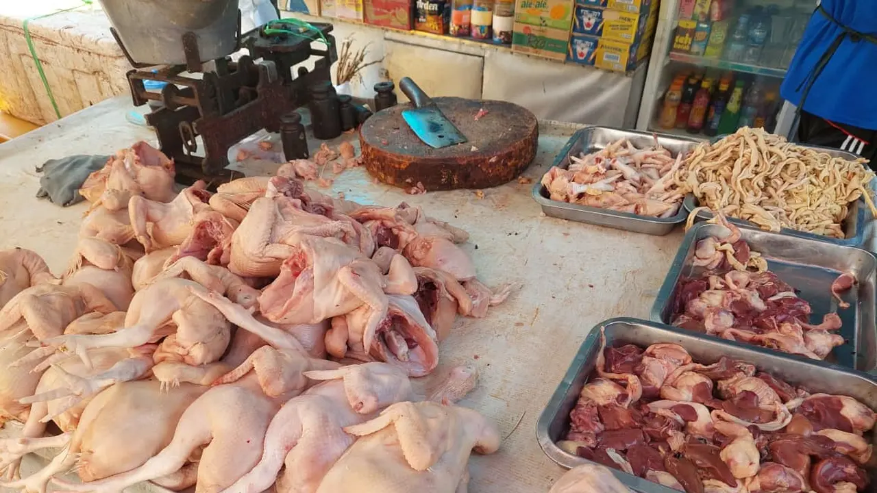 Ayam Potong