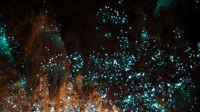 <div>These create a fascinating starlit effect. The site is similar to a magical cave. It is transporting visitors to a world of wonder and magic.<br></div><div><br></div><div>Photo: flickr/Waitomo Glowworm Caves</div>