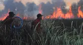 Petugas pemadam kebakaran membawa peralatan mereka saat berupaya memadamkan kebakaran lahan gambut di Palembang, Sumatra Selatan, Indonesia, Selasa, 11 Agustus 2026. (Foto AP/Muhammad Hatta)