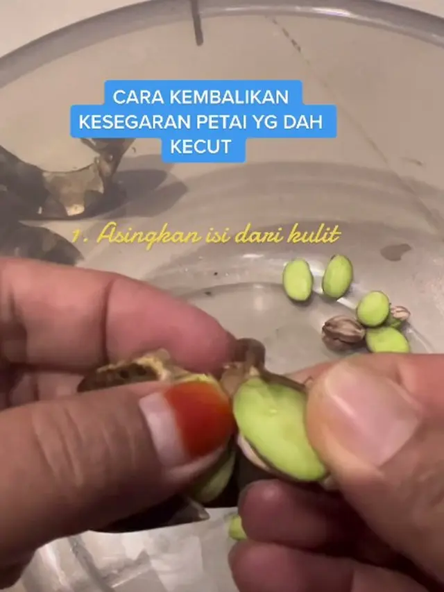 Tanpa Dimasukkan Kulkas, Begini Cara Olah Petai yang Layu Bisa Segar Lagi