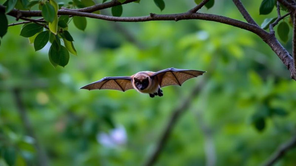 Virus Nipah Bukan Virus Baru, Pertama Kali Teridentifikasi di Malaysia