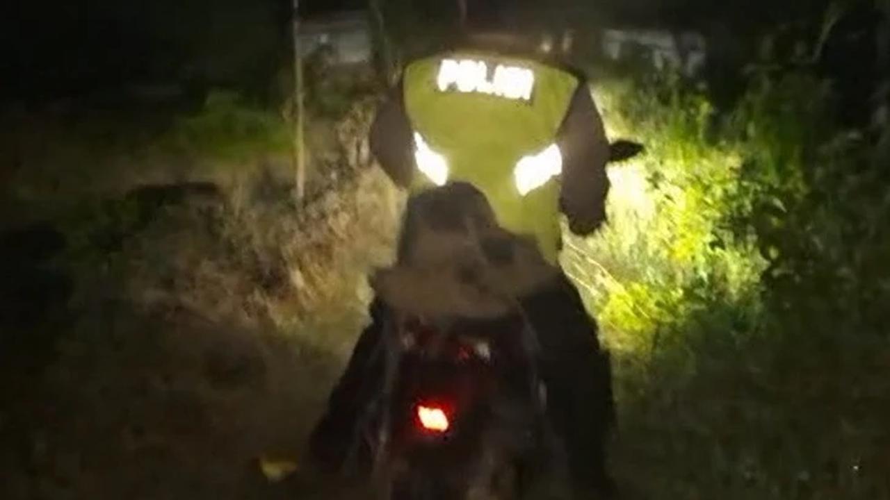 Pemudik Nyasar ke Hutan