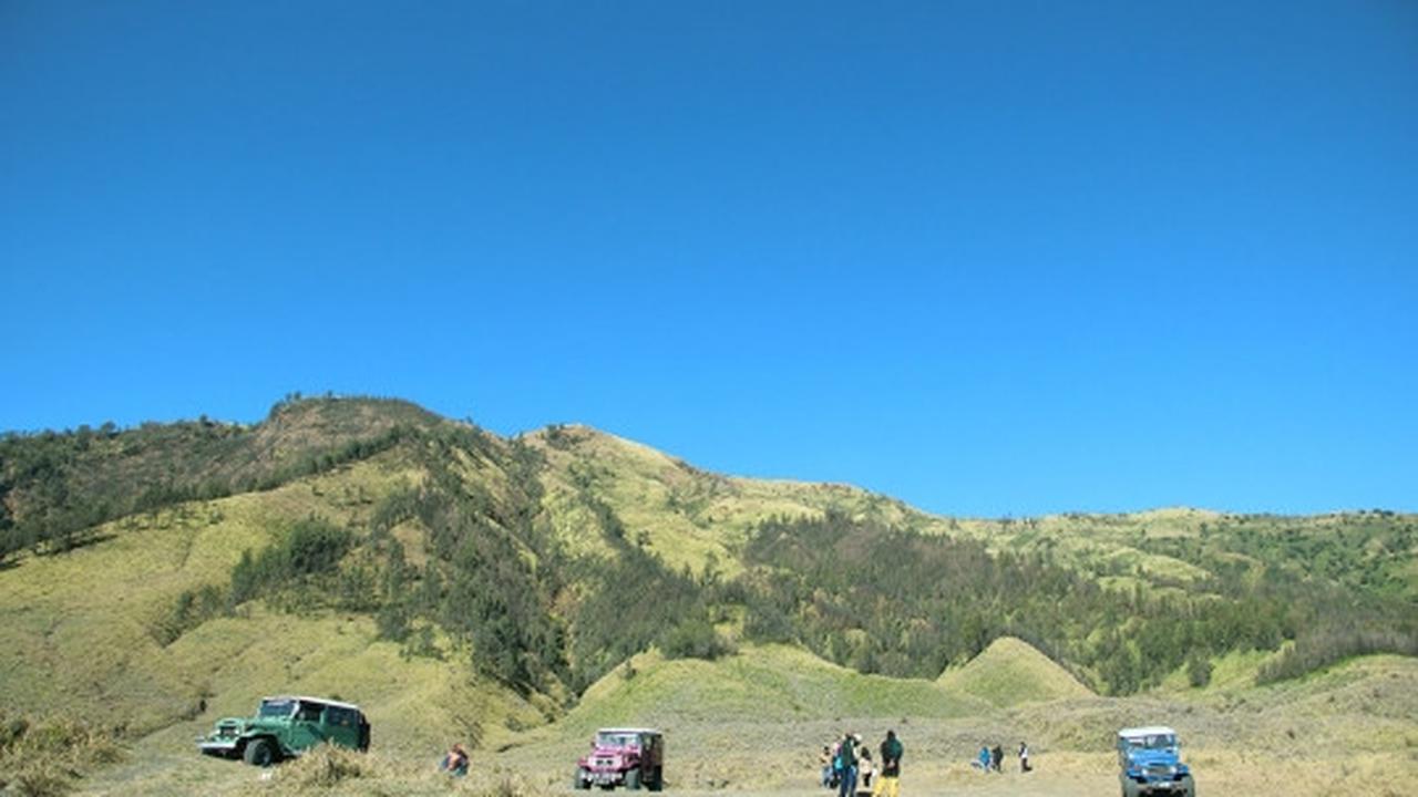 Memanjakan mata menikmati keindahan bukit 'Teletubbies' di Bromo