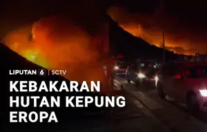 Kebakaran Hutan Kepung Eropa