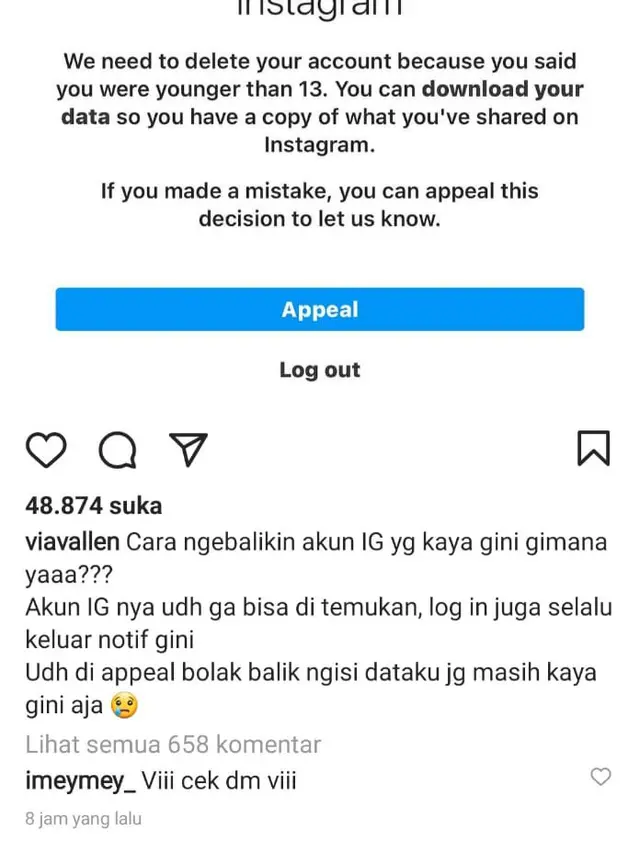 Unggahan Via Vallen