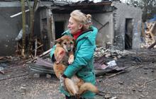 FOTO: Evakuasi Anjing Terluka Usai Serangan Rusia Hantam Penampungan Anjing Liar