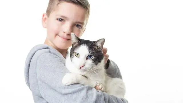 Persahabatan Bocah dan Kucing yang Memiliki Kelainan Sama