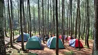 11 Tempat Berkemah di Jogja yang Wajib Dikunjungi Tahun 2025