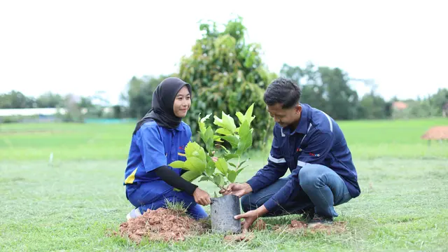 Bibit tanaman buah buahan dan sayur mayur hasil penjualan produk kreatif hasil Kelompok Wanita Tani di Lampung Selatan. Foto : (Istimewa).