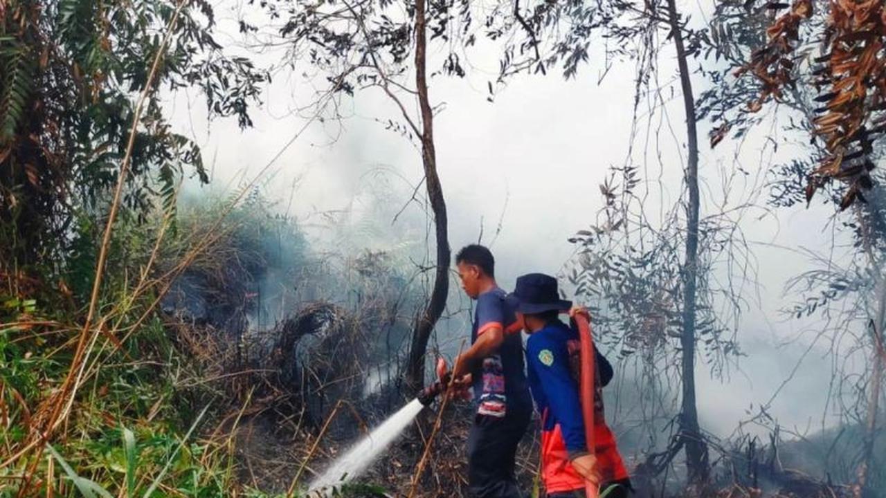 BMKG Ingatkan Potensi Karhutla Kaltim, Ratusan Titik Panas Tersebar