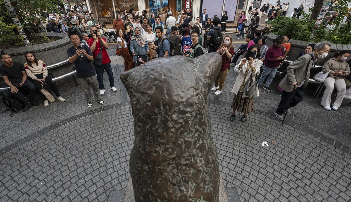 Ueno meninggal secara tiba-tiba pada tahun 1925, tetapi Hachiko terus datang ke stasiun kereta api untuk menunggu Ueno dengan penuh kesedihan selama hampir 10 tahun hingga meninggal pada bulan Maret 1935. (Richard A. Brooks / AFP)