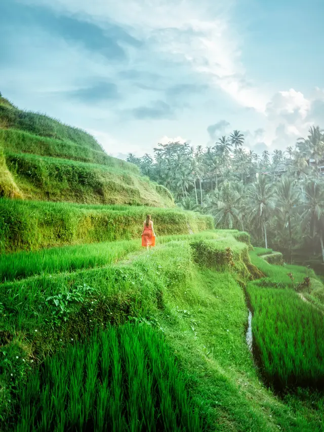 Wisata Bali