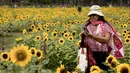 Orang-orang berfoto di ladang bunga matahari di Wachirabenchathat Park, Bangkok pada 20 Januari 2022. Bunga matahari yang bermekaran pada November hingga Januari menjadi daya tarik wisatawan. (Jack TAYLOR / AFP)