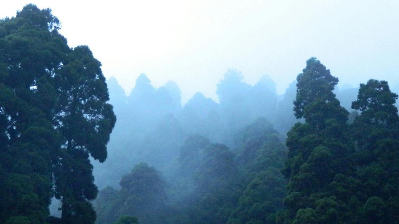 Daerah tersebut terletak di bawah bayang-bayang gunung berapi yang menciptakan tanah lokal yang subur namun juga mungkin menyebabkan kehancuran masyarakat.