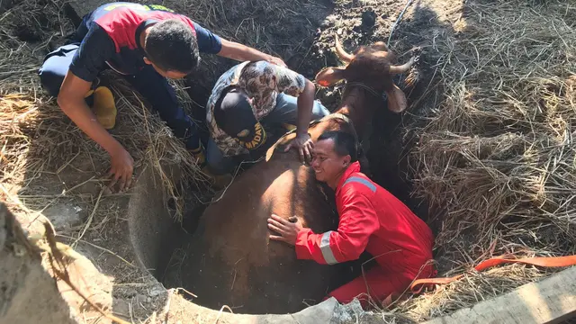 7 Momen Damkar Jalankan Aksinya