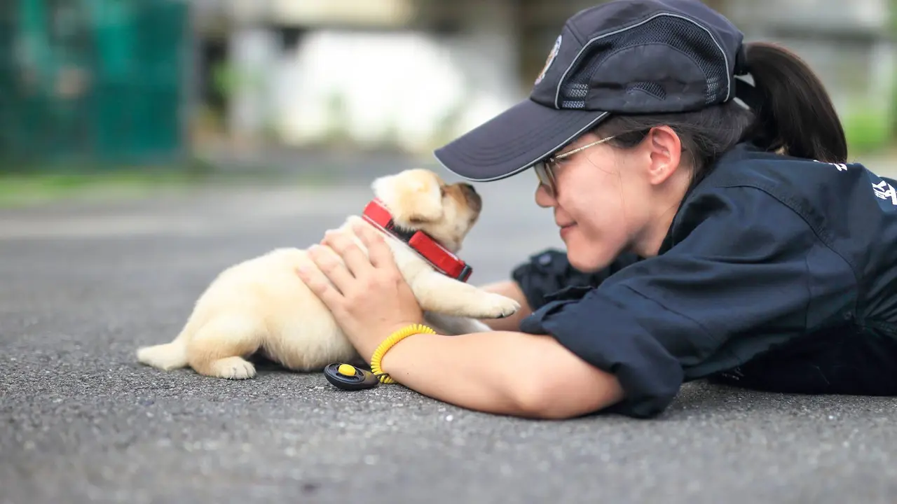 Arsip National Police Agency Taiwan (NPA 署長室/Facebook)