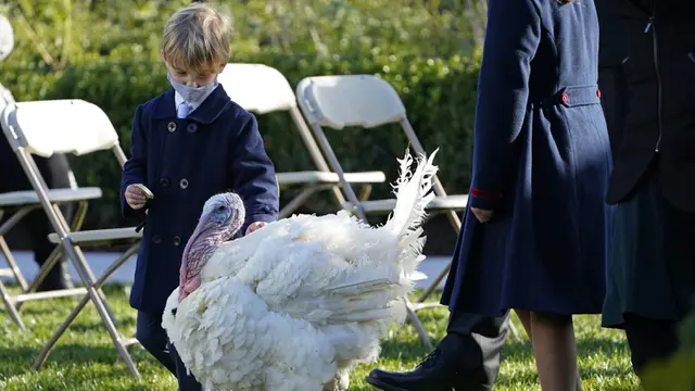FOTO: Donald Trump Ampuni Seekor Kalkun dalam Tradisi Thanksgiving