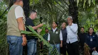 Dukung Swasembada Energi, Menhut Siapkan Kawasan Hutan untuk Bioethanol