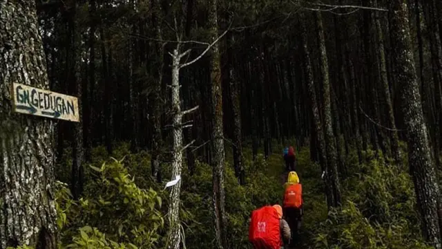 Pendaki di jalur menuju puncak Gunung Gedugan https://www.instagram.com/p/BgkxYbGHZXr/?igsh=MWV3OTlzdDFzeGZ5dg==