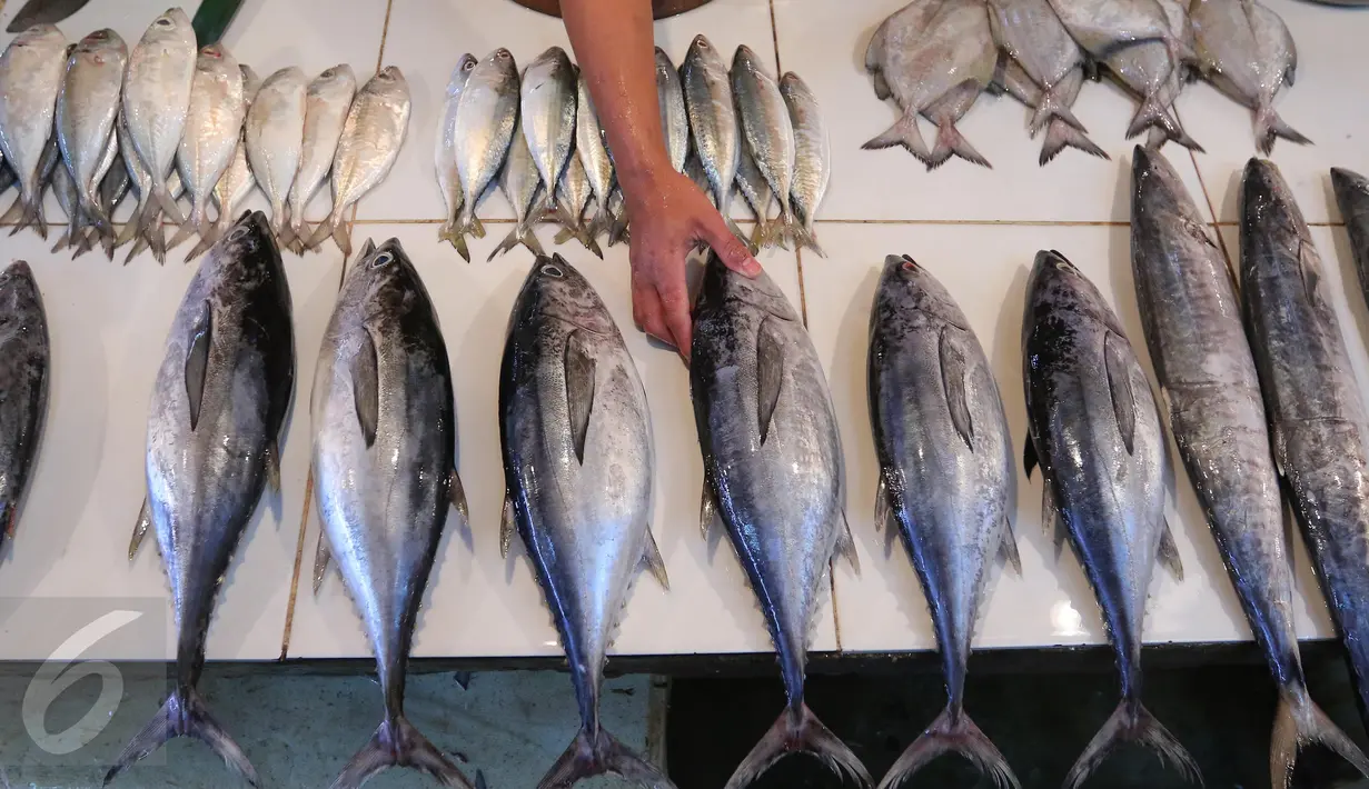 Pedagang menata ikan yang di jual di Pasar Senen, Jakarta, (23/5). Kredit untuk sektor kelautan dan perikanan pada tahun 2016 dapat mencapai hingga Rp9,2 triliun. (Liputan6.com/Angga Yuniar)
