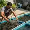 9 Jenis Ikan Konsumsi yang Cepat Besar dan Hemat Pakan untuk Pemula, Pahami Sebelum Budidaya