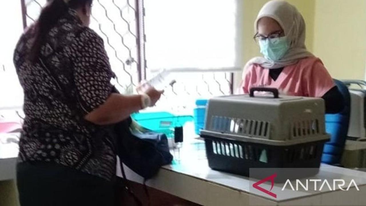 Tahukah Anda? Babel Intensifkan Klinik Hewan demi Cegah Penyakit Zoonosis Berbahaya