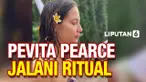 vertical pev