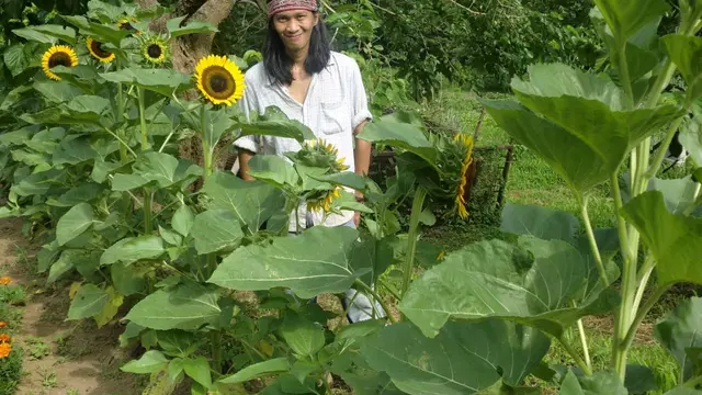 Solusi Bagi Petani Sumsel Atasi Keterbatasan Pupuk Subsidi