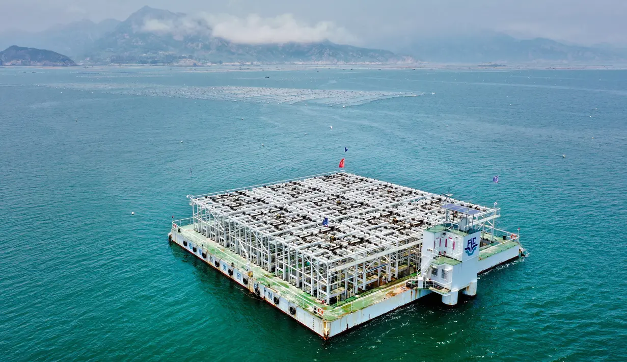 Foto udara menunjukkan sebuah platform budi daya laut dalam kerang abalon di Lianjiang, Provinsi Fujian, China, 14 Juli 2020. Pada 2019, total produksi abalon di Lianjiang mencapai 48.000 ton, menghasilkan nilai output sebesar 5,6 miliar yuan (1 yuan = Rp 2.087). (Xinhua/Jiang Kehong)