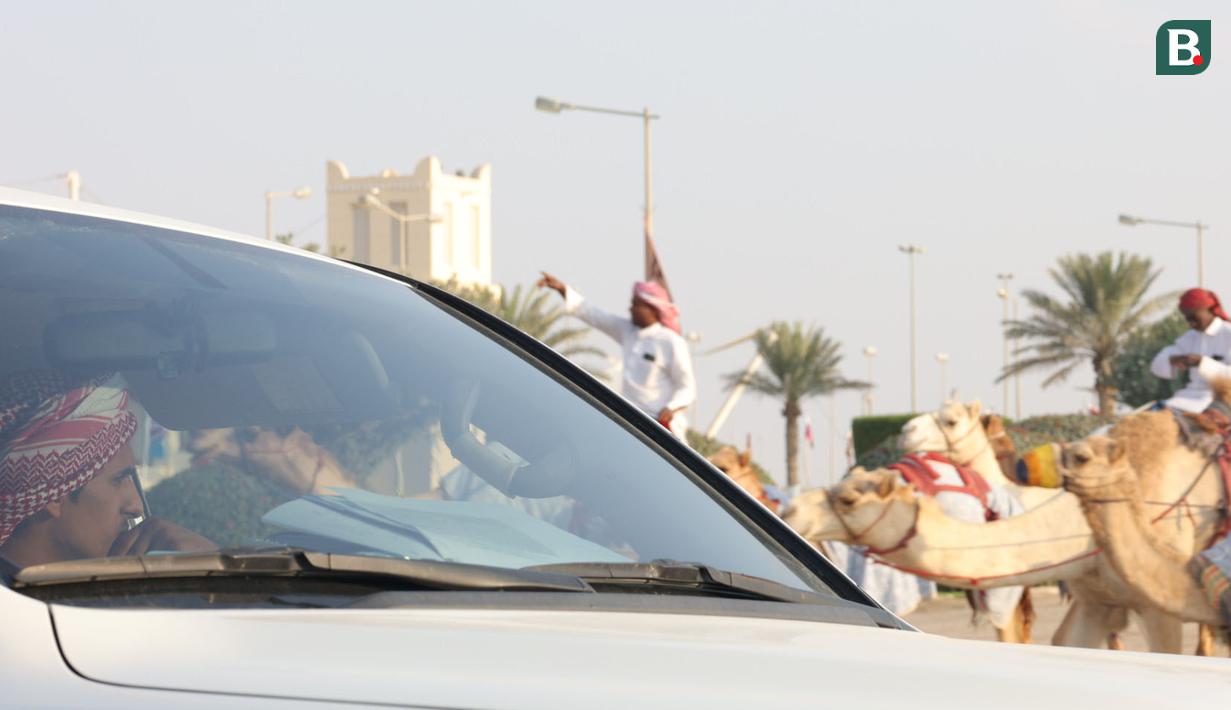 Para Qatari pemilik unta terlihat memantau peliharaan mereka dari dalam mobil. Sementara unta ditangani oleh joki yang mayoritas berasal dari India atau Pakistan. (Bola.com/Ade Yusuf Satria)