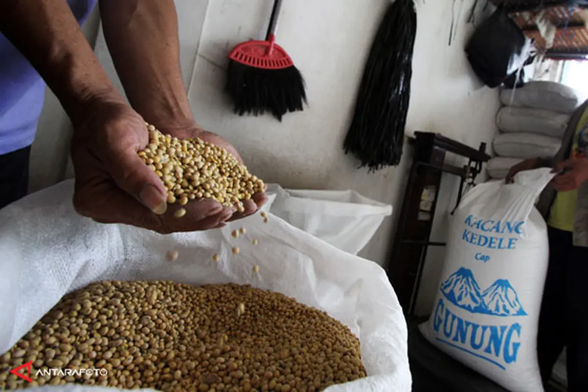 kacang-kedelai-130916b.jpg
