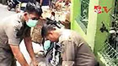 liputan6