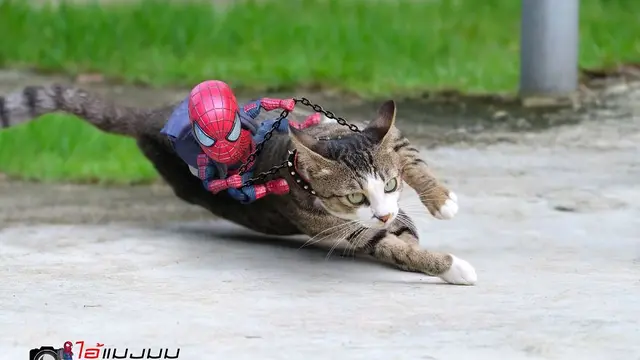 Seniman Ini Potret Boneka Spiderman dengan Kucing, 7 Hasilnya Kocak
