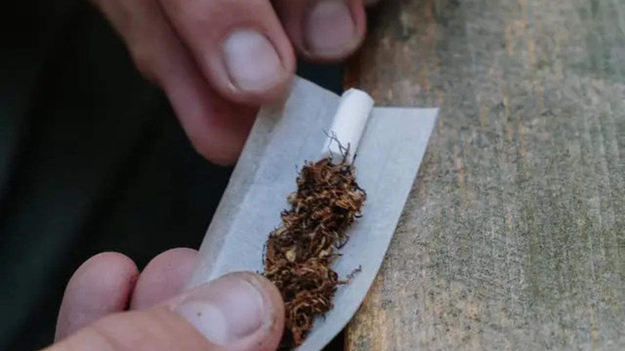 Wacana Rokok Tanpa Merek, Sejumlah Kepala Daerah Soroti Dampak pada Industri Hasil Tembakau