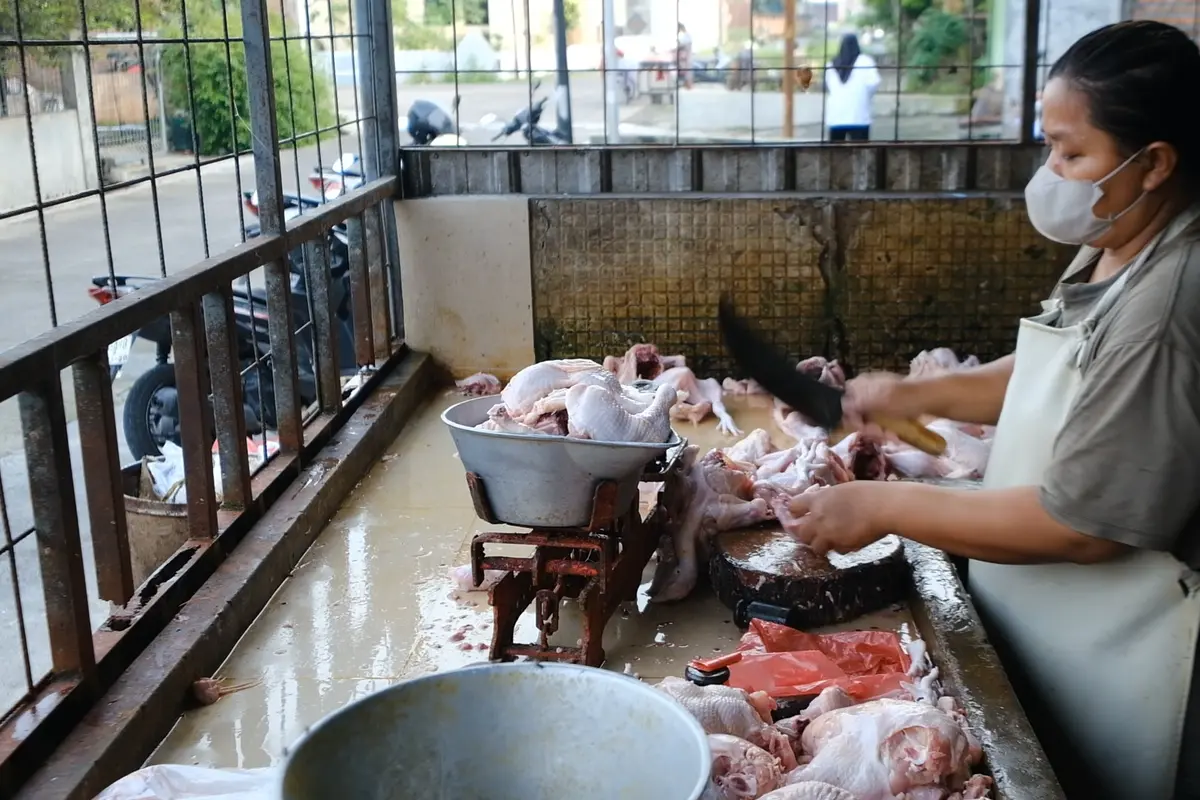 Berkah Dapur MBG mendorong usaha ayam potong di Karanganyar berkembang pesat dengan pasokan hingga 2,3 ton daging segar per hari